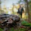 In a Violent Nature: Krvavá extáze z pohledu sadistického zabijáka | Fandíme filmu