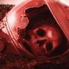 Lumina: Únos mimozemšťany v novém sci-fi thrilleru | Fandíme filmu