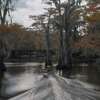 Caddo Lake: Nové mysterium ode dneška u vás v obýváku | Fandíme filmu