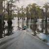 Caddo Lake: Nové mysterium ode dneška u vás v obýváku | Fandíme filmu