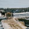 Tichá pošta: Do kin dorazí český válečný film | Fandíme filmu