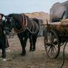 Tichá pošta: Do kin dorazí český válečný film | Fandíme filmu