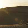 The Desert Child: Skutečný příběh dítěte vychovaného pštrosy | Fandíme filmu