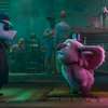 Agent Čuník: Do českých kin naklusal nový animák se zvířátky | Fandíme filmu
