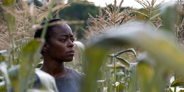 40 Acres: Ve zdevastovaném světě se rodina odřízne od okolí vysokým plotem | Fandíme filmu
