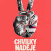 Chvilky naděje: Dokument bere diváky do zákulisí hnutí Milion chvilek pro demokracii | Fandíme filmu