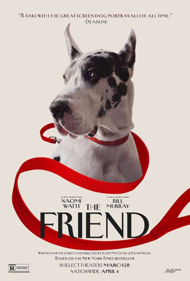The Friend: V hořkosladkém filmu pes a jeho nová paní společně truchlí | Fandíme filmu