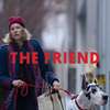 The Friend: V hořkosladkém filmu pes a jeho nová paní společně truchlí | Fandíme filmu