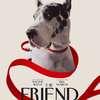 The Friend: V hořkosladkém filmu pes a jeho nová paní společně truchlí | Fandíme filmu