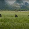 Primitive War: Vojáci bojují s dinosaury a konečně je tu pořádný trailer | Fandíme filmu