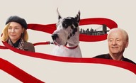 The Friend: V hořkosladkém filmu pes a jeho nová paní společně truchlí | Fandíme filmu