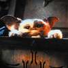 Gremlins: Původní autor chystá návrat oblíbených příšerek | Fandíme filmu