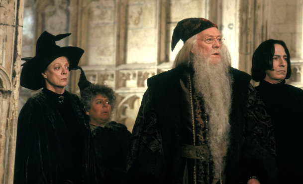 Harry Potter: Seriál oficiálně obsadil 6 dospěláků z Bradavic | Fandíme serialům