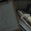The Mortuary Assistant: Noc v márnici v novém hororu rychle začíná být děsivá | Fandíme filmu