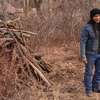 Americana: Boj o starou košilku v kriminálním dramatu ve stylu bratří Coenů | Fandíme filmu
