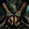 Bark: Ve znepokojivém thrilleru je muž připoutaný ke stromu a neví proč | Fandíme filmu