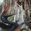 Jurský svět: Znovuzrození – Krátký film o filmu se podíval dinosaurům na zoubek | Fandíme filmu