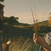Harvest: Pomalá modernizace v zapadlé vesničce rozpoutá peklo | Fandíme filmu