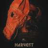 Harvest: Pomalá modernizace v zapadlé vesničce rozpoutá peklo | Fandíme filmu