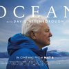 Oceán s Davidem Attenboroughem: Popularizátor přírody nás vezme pod vodu | Fandíme filmu
