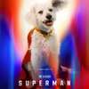 Superman: Nový vzrušující trailer je plný Luthorovy zloby, ale i naděje | Fandíme filmu