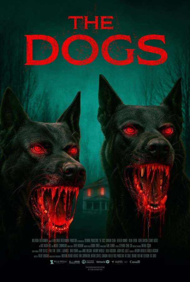 The Dogs: V novém hororu pronásledují chlapce psi z pekla | Fandíme filmu