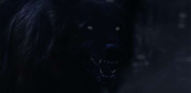 The Dogs: V novém hororu pronásledují chlapce psi z pekla | Fandíme filmu