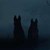 The Dogs: V novém hororu pronásledují chlapce psi z pekla | Fandíme filmu
