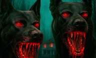 The Dogs: V novém hororu pronásledují chlapce psi z pekla | Fandíme filmu