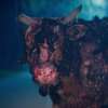 Ick: Podivné slizovité monstrum postupně pohlcuje městečko - bude to čvachtat | Fandíme filmu