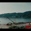 Hot Spring Shark Attack: Žraločí úchylárna ukázala trailer | Fandíme filmu