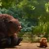 Skokani: V animované komedii se holka převtělí v bobra | Fandíme filmu