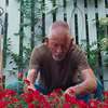 Eugene the Marine: Stárnoucí veterán se zaplete do vražd, co otřásají jeho sousedstvím | Fandíme filmu