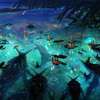Avatar: Oheň a prach: Oficiální trailer nás bere do říše popela | Fandíme filmu