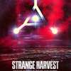 Strange Harvest: True crime dokument se před očima mění v sadistický horor | Fandíme filmu