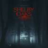 Shelby Oaks: Hororový trailer ždímá znepokojení z každé sekundy | Fandíme filmu