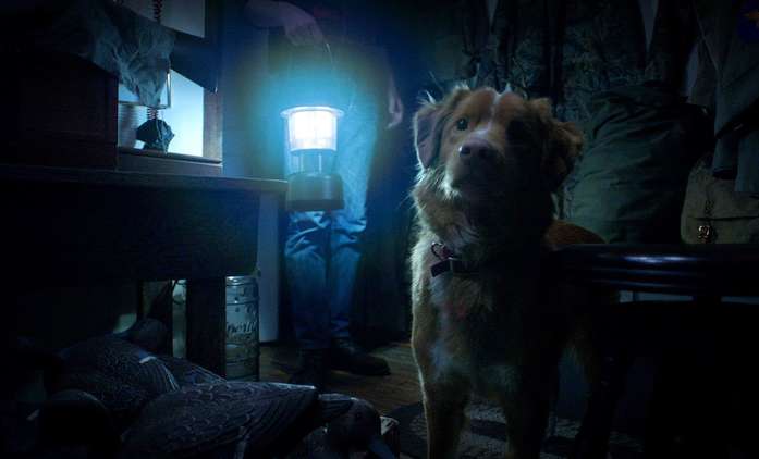 Good Boy: Nový horor je kompletně pojednaný pohledem hlavního hrdiny - psa | Fandíme filmu
