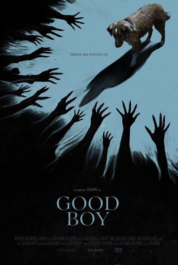 Good Boy: Nový horor je kompletně pojednaný pohledem hlavního hrdiny - psa | Fandíme filmu