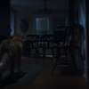 Good Boy: Nový horor je kompletně pojednaný pohledem hlavního hrdiny - psa | Fandíme filmu