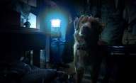 Good Boy: Nový horor je kompletně pojednaný pohledem hlavního hrdiny - psa | Fandíme filmu