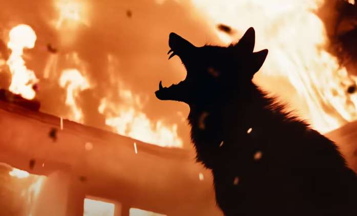 Coyotes: Katastrofický biják plný divokých kojotů a požárů ukázal trailer | Fandíme filmu