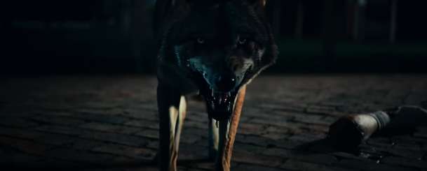 Coyotes: Katastrofický biják plný divokých kojotů a požárů ukázal trailer | Fandíme filmu