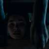 Coyotes: Katastrofický biják plný divokých kojotů a požárů ukázal trailer | Fandíme filmu