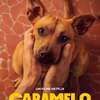 Caramelo: Netflix chystá hřejivý příběh kuchaře a jeho věrného pejska | Fandíme filmu