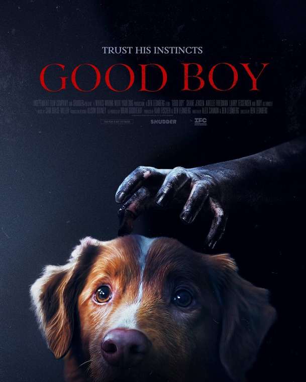 Good Boy: Čerstvý trailer blíž představuje horor celý vyprávěný z pohledu psa | Fandíme filmu