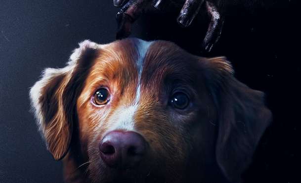 Good Boy: Čerstvý trailer blíž představuje horor celý vyprávěný z pohledu psa | Fandíme filmu