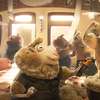 Zootropolis 2: Animovaní detektivové předvedli další trailer z příštího pátrání | Fandíme filmu