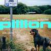 Pillion: BDSM motorkáři pootevírají v 1. traileru vrata své tajné garáže | Fandíme filmu