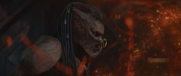 Predátor: Nebezpečné území – Finální trailer je narvaný monstry | Fandíme filmu