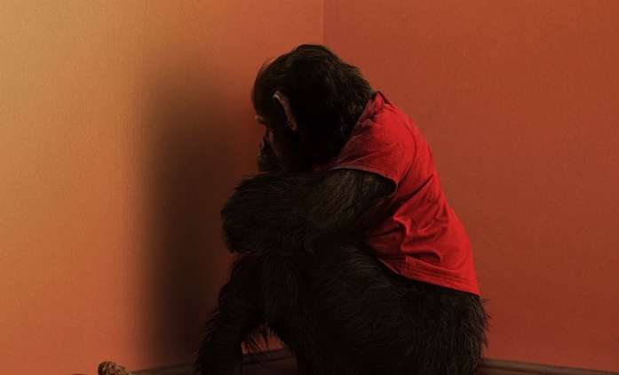 Primát: Opičí horor nás zkusí vystrašit bez děsivých zvuků | Fandíme filmu